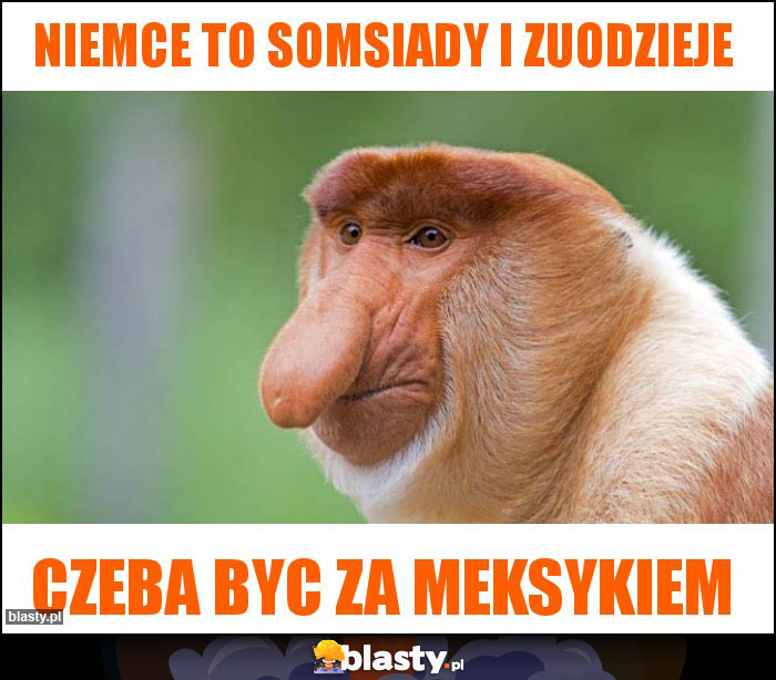 niemce to somsiady i zuodzieje