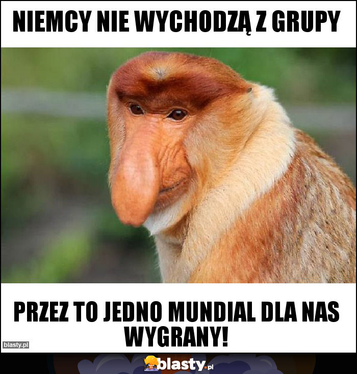 Niemcy nie wychodzą z grupy