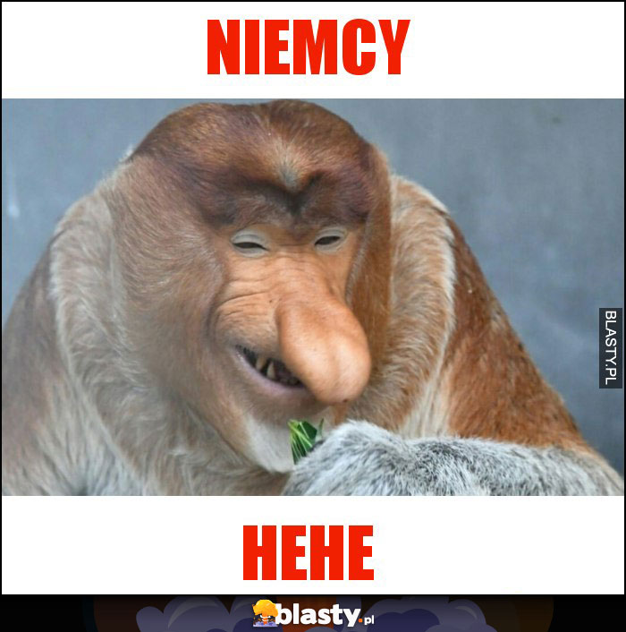 NIEMCY