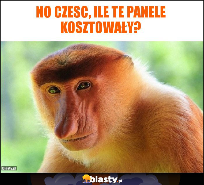 No czesc, ile te panele kosztowały?