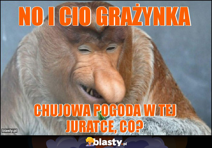 NO I CIO GRAŻYNKA