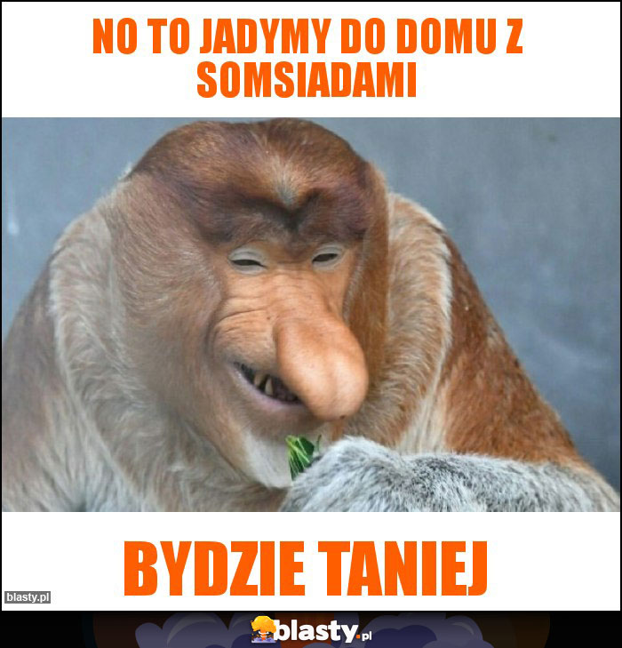 No to jadymy do domu z somsiadami