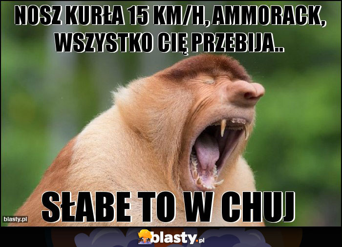 nosz kurła 15 km/h, ammorack, wszystko cię przebija..