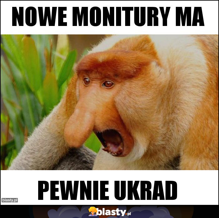 Nowe monitury ma