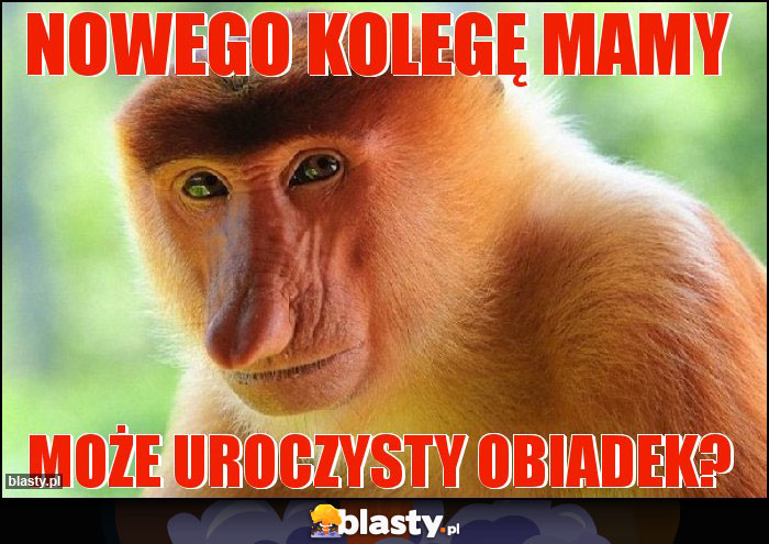 Nowego kolegę mamy