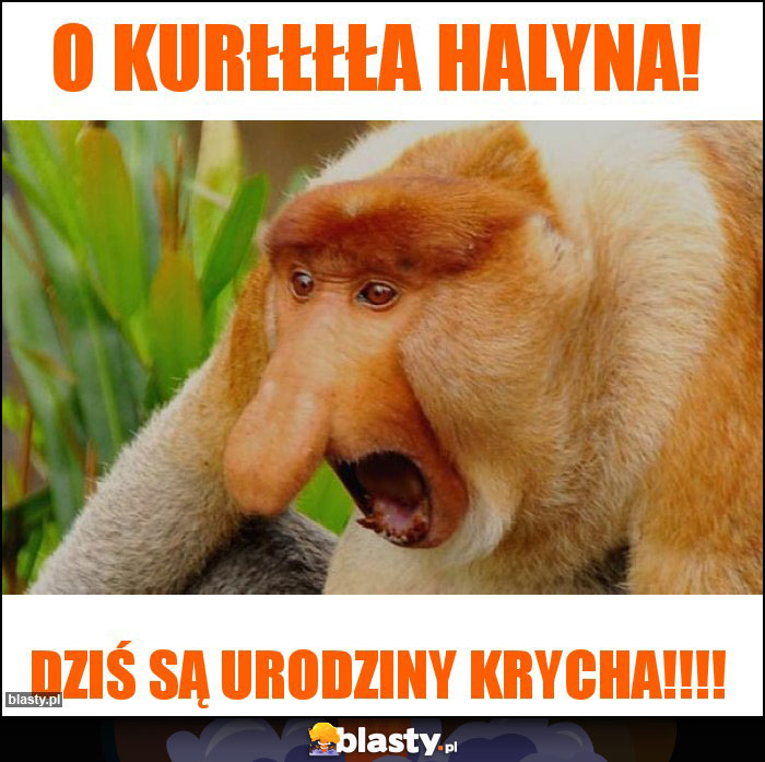 O KurŁŁŁŁa Halyna!