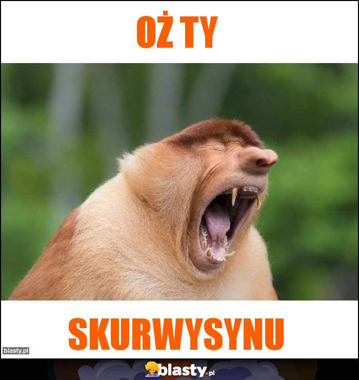 oż ty