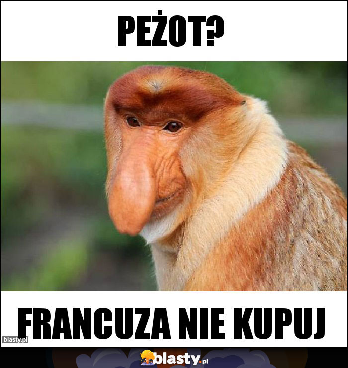 Peżot?