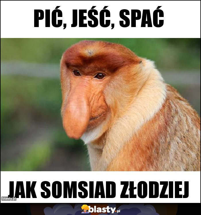 Pić, jeść, spać