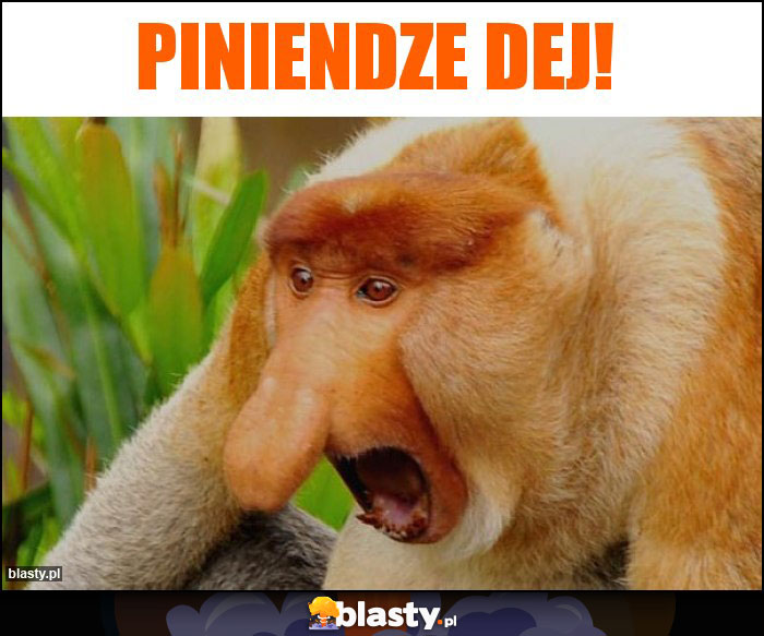 piniendze dej!