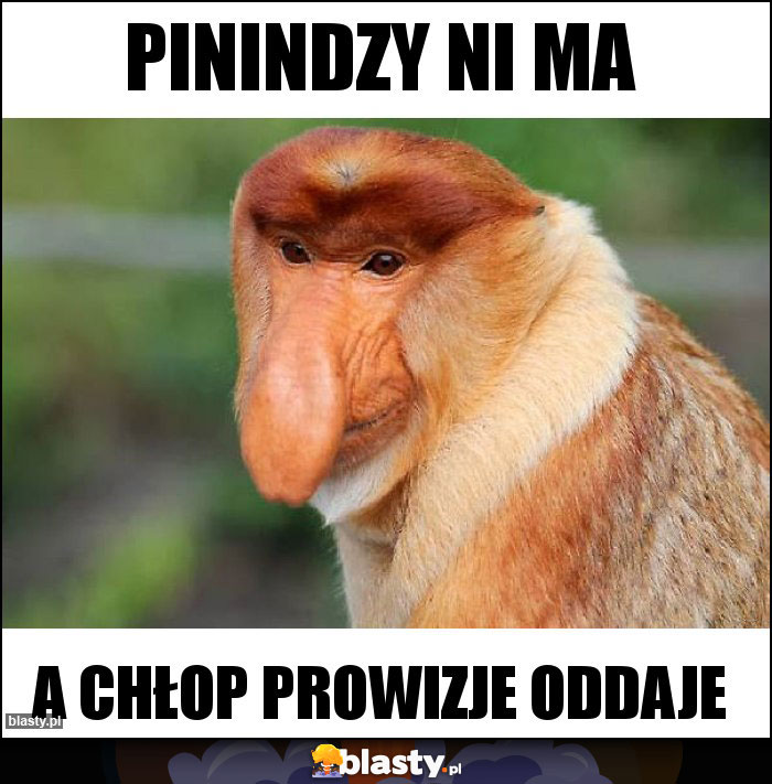 Pinindzy ni ma