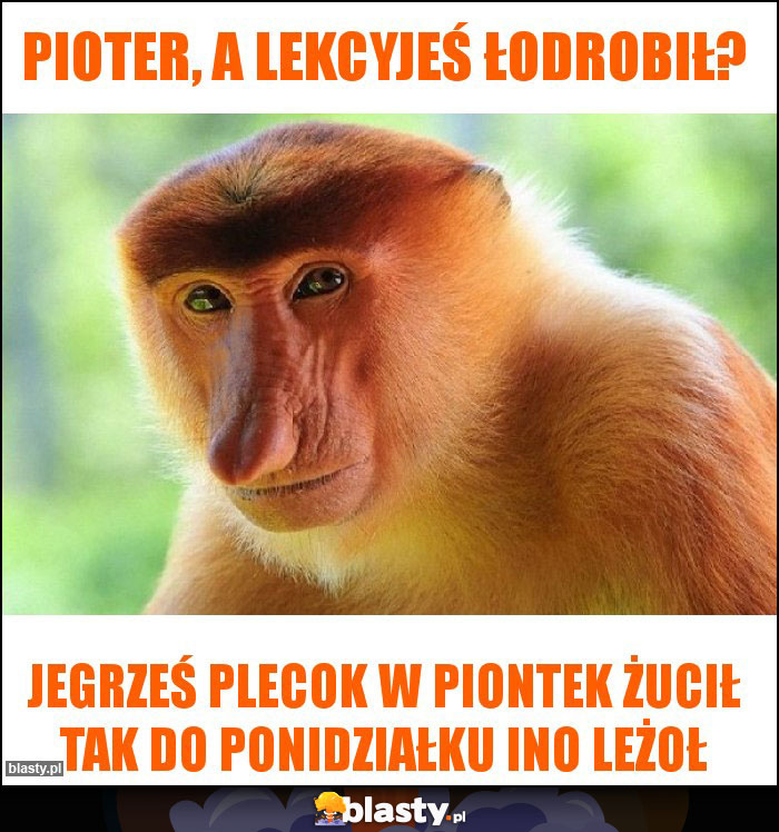 pioter, a lekcyjeś łodrobił?