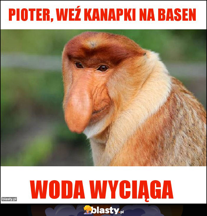 Pioter, weź kanapki na basen