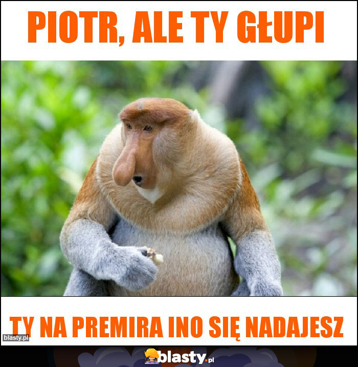 Piotr, ale ty głupi