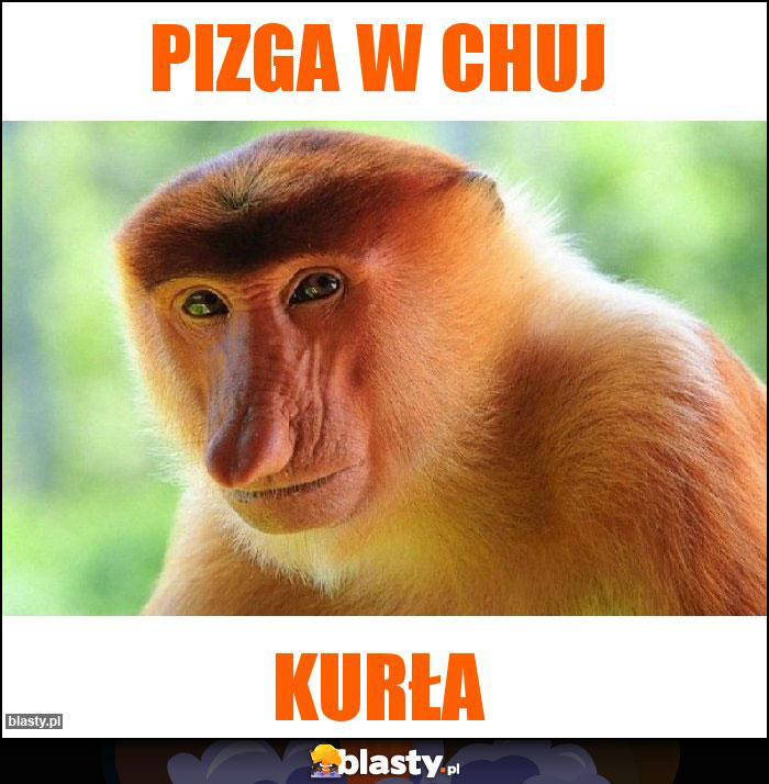 Pizga w chuj