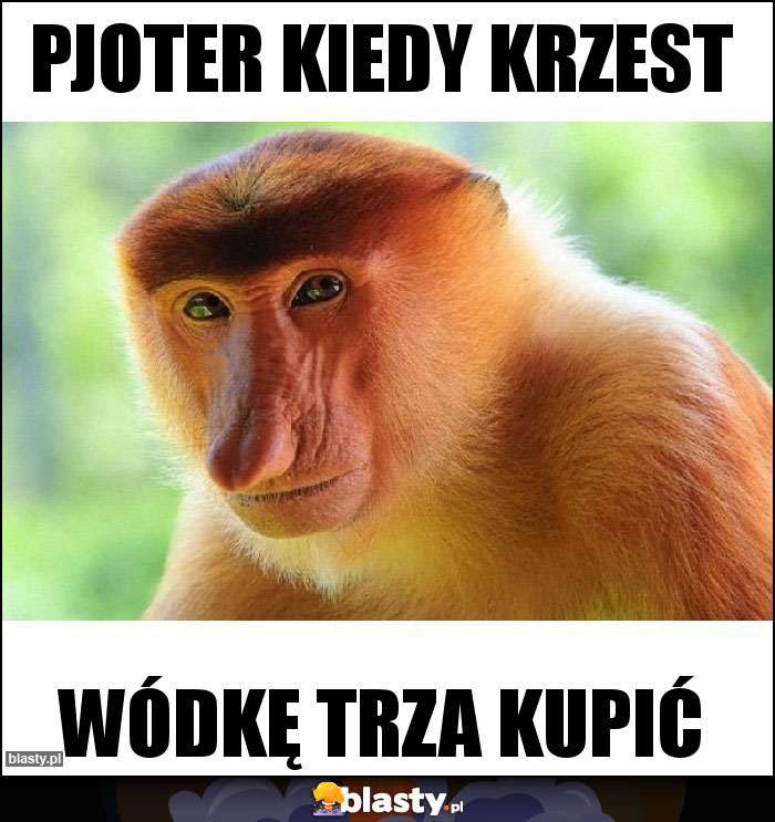 Pjoter kiedy krzest