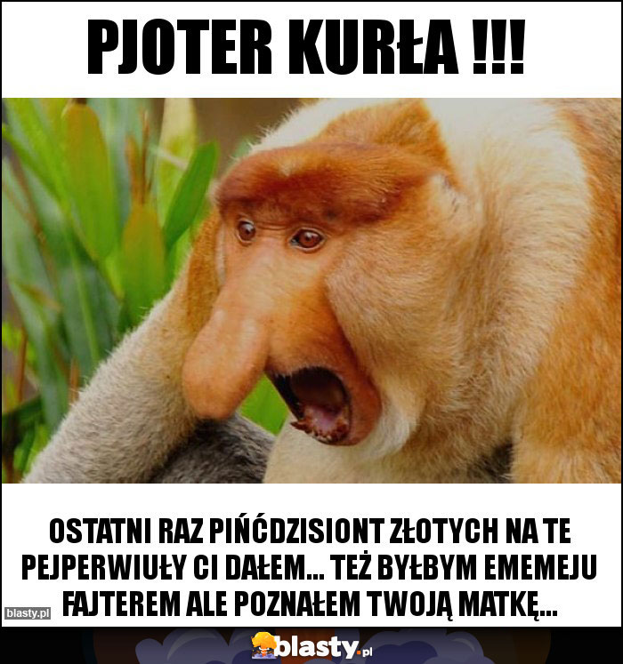 PJOTER KURŁA !!!