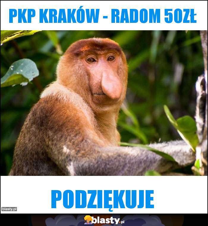 PKP Kraków - Radom 50zł