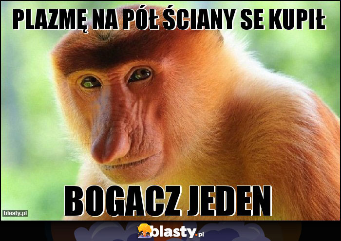 PLAZMĘ NA PÓŁ ŚCIANY SE KUPIŁ