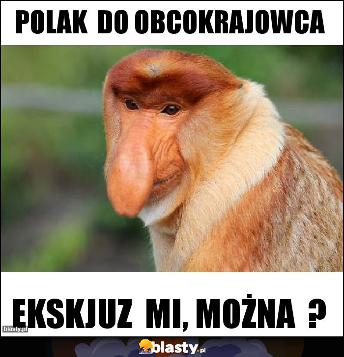 Polak  do obcokrajowca