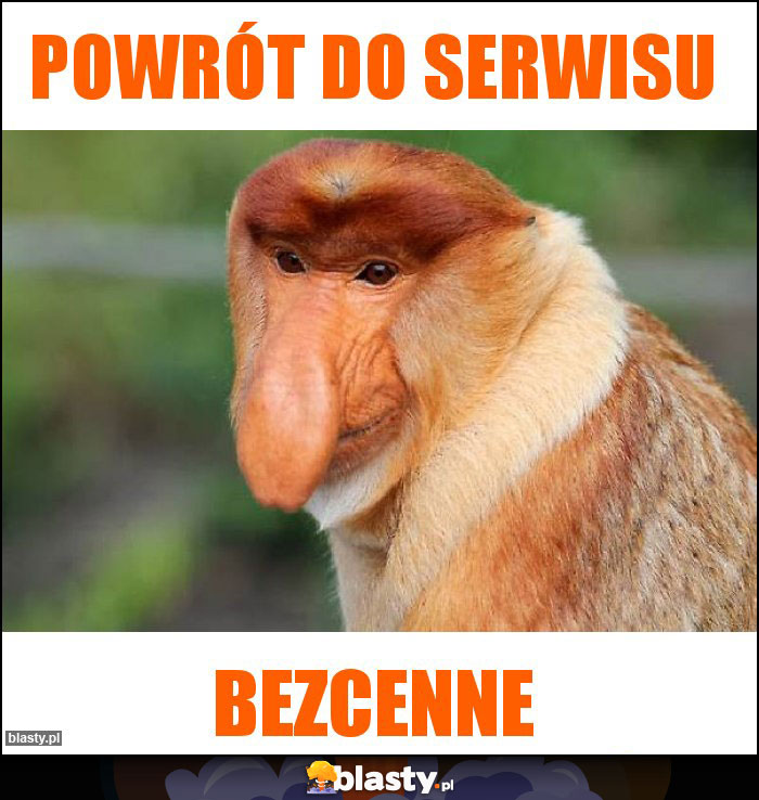 powrót do serwisu