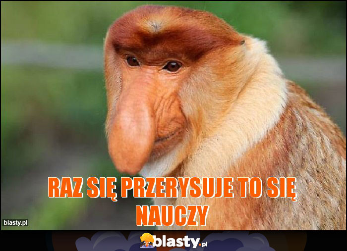 Raz się przerysuje to się nauczy