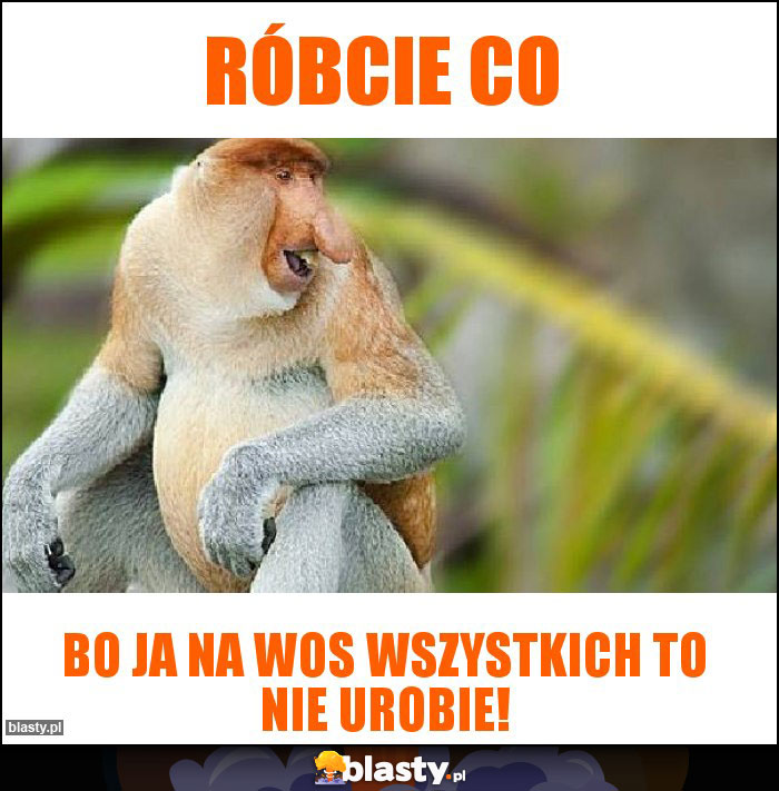 Róbcie co