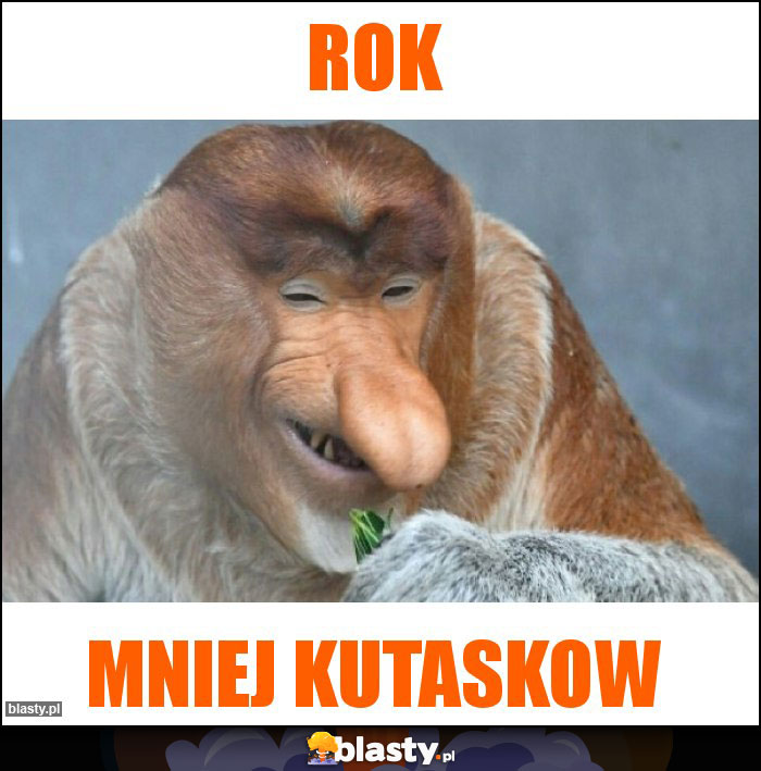 Rok