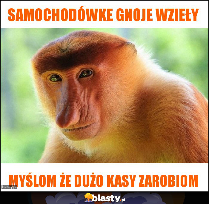 Samochodówke gnoje wzieły