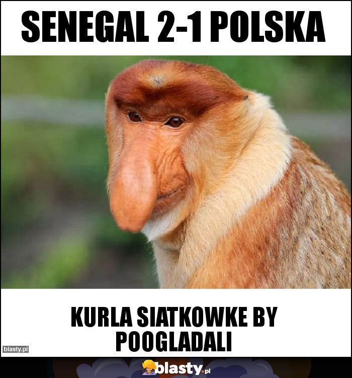 senegal 2-1 polska