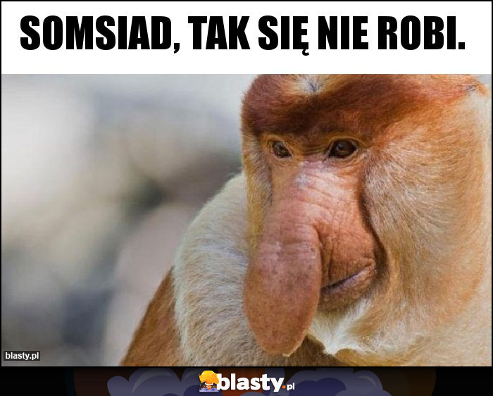 Somsiad, tak się nie robi.