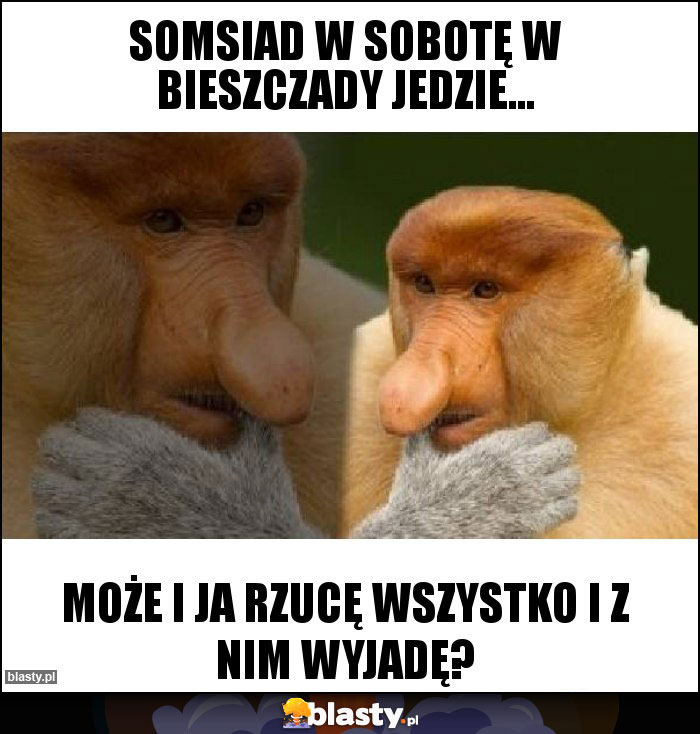 Somsiad w sobotę w Bieszczady jedzie...