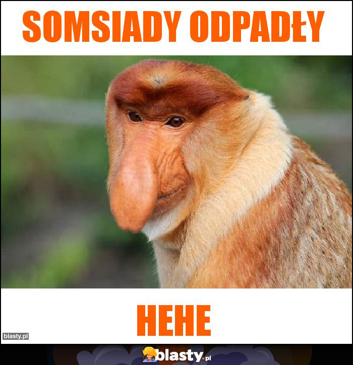 Somsiady odpadły