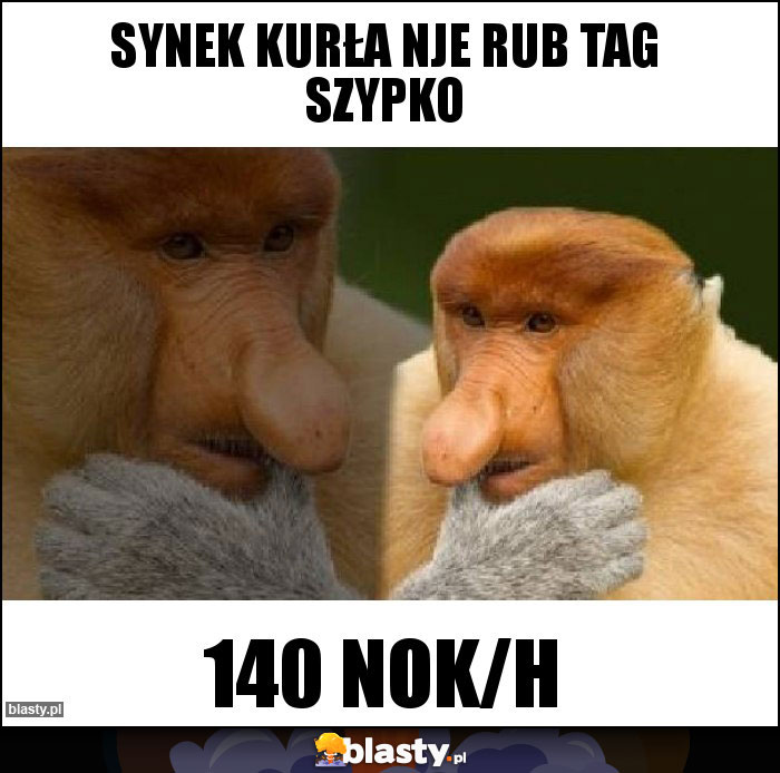 SYNEK KURŁA NJE RUB TAG SZYPKO