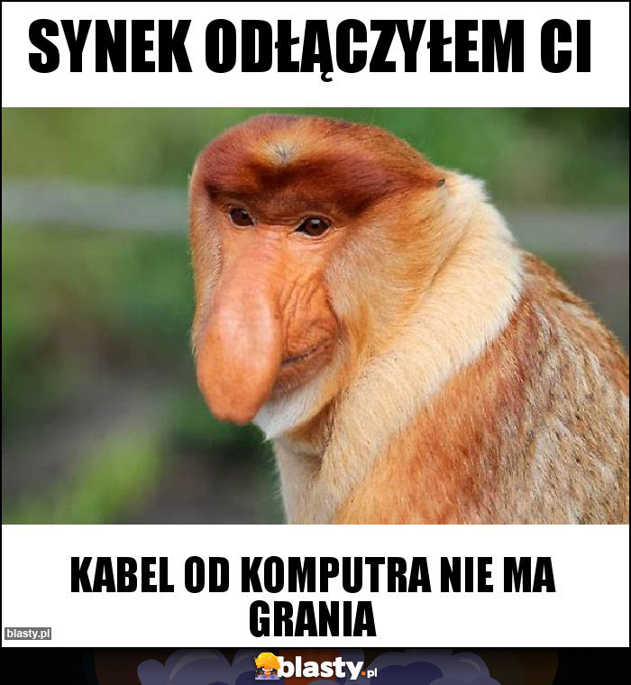 Synek odłączyłem ci