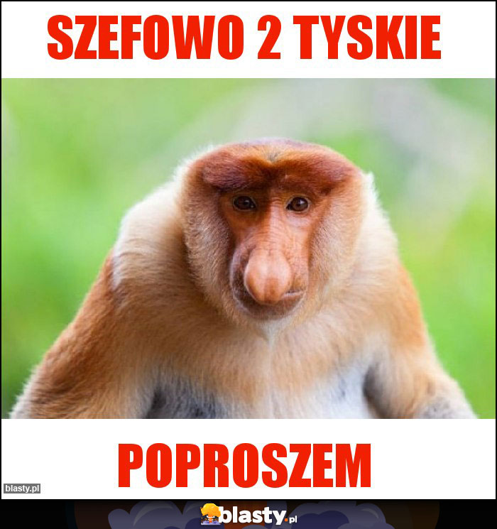 Szefowo 2 Tyskie