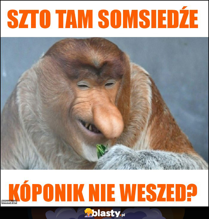 Szto tam somsiedźe