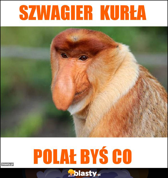 Szwagier  kurła