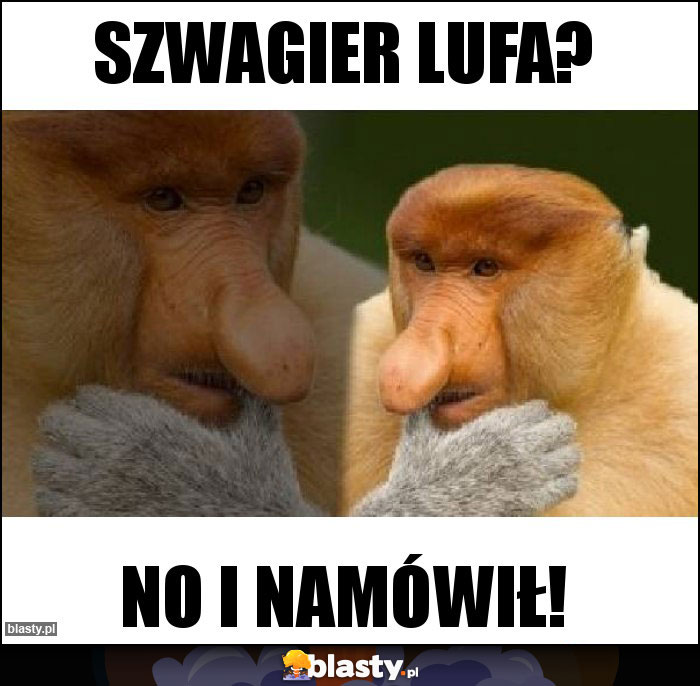 Szwagier lufa?