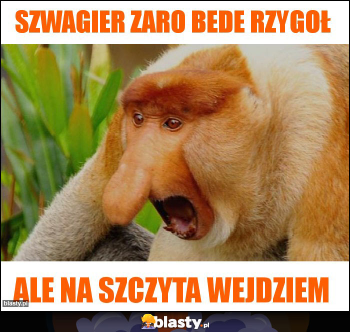 Szwagier zaro bede rzygoł