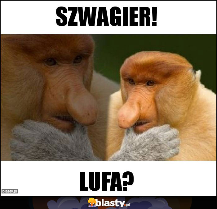 Szwagier!