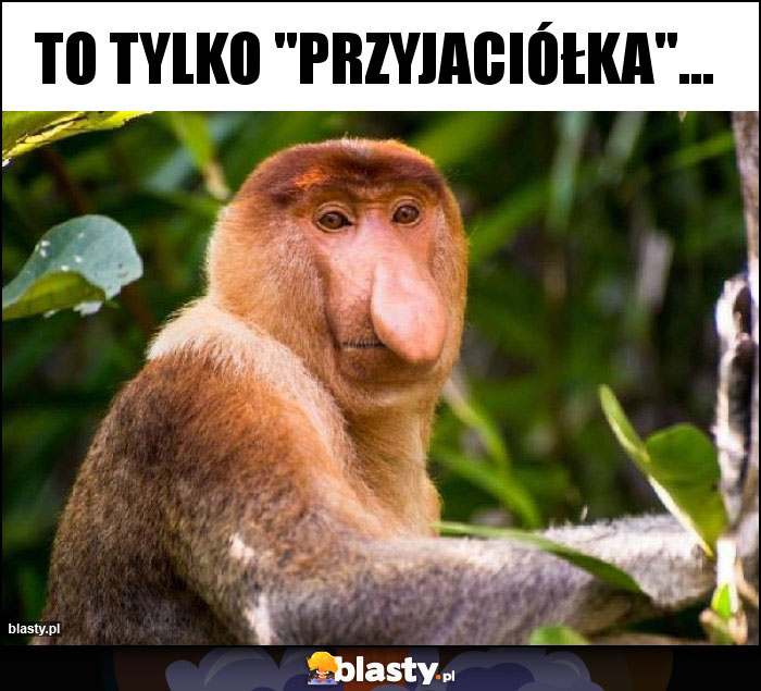 To tylko 