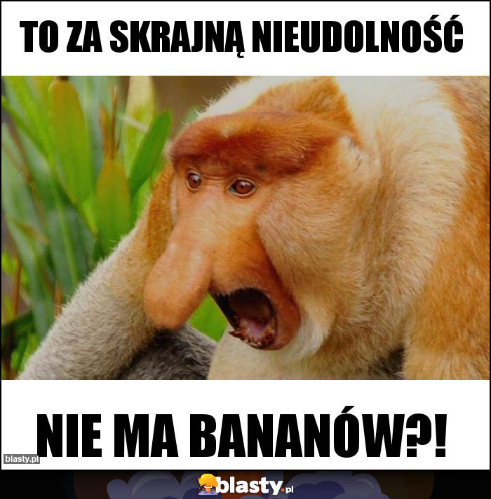 To za skrajną nieudolność