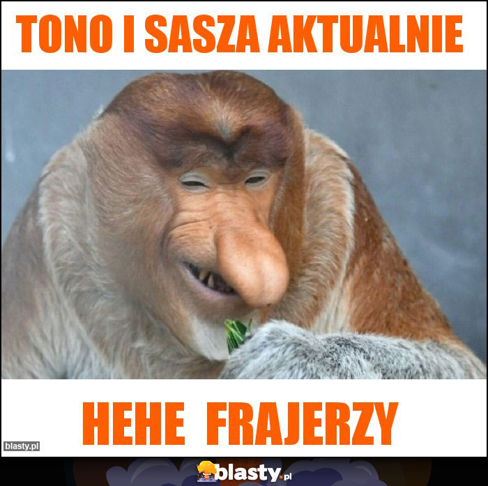 Tono i Sasza aktualnie