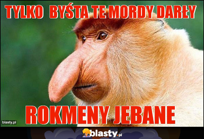 tylko  byśta te mordy darły