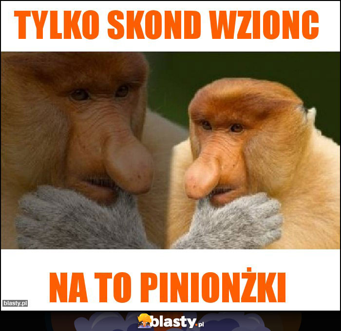 Tylko skond wzionc