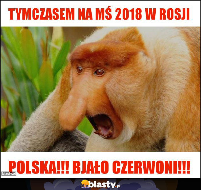 Tymczasem na mś 2018 w rosji