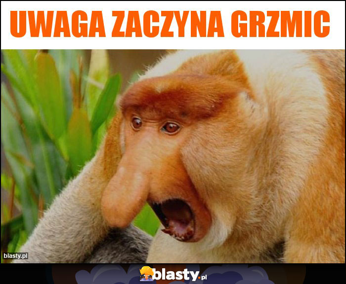 Uwaga zaczyna grzmic