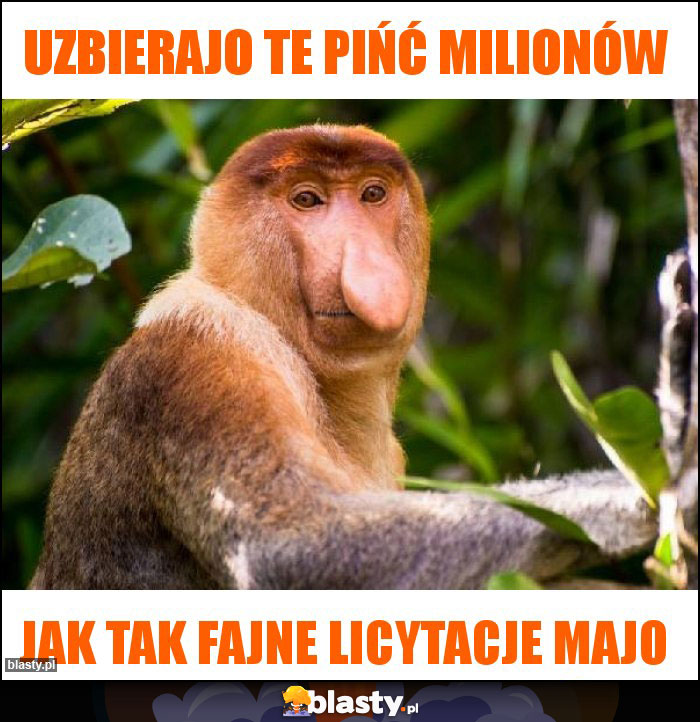 Uzbierajo te pińć milionów