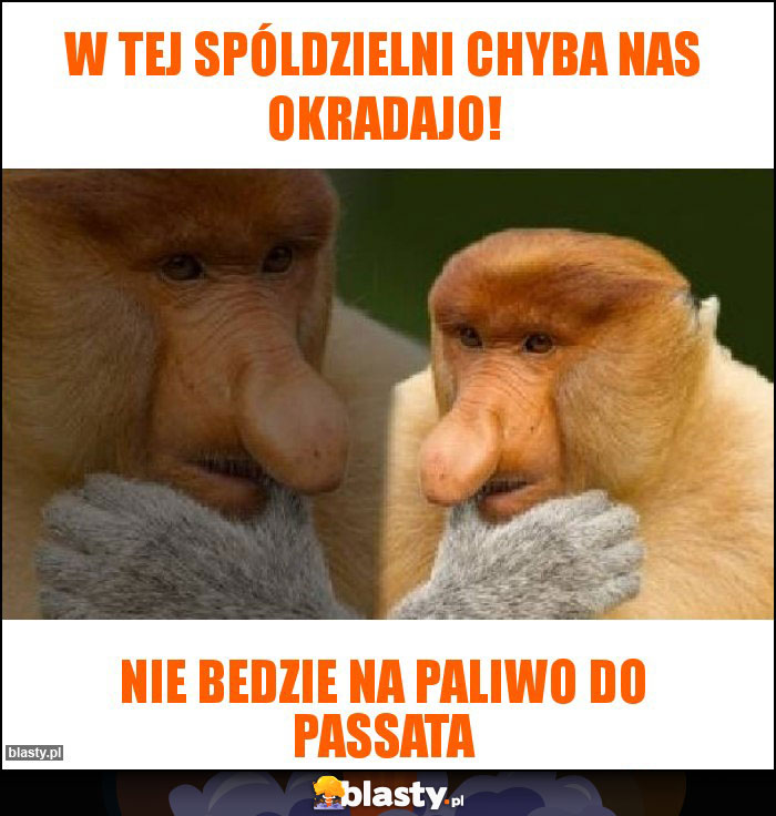 W tej spóldzielni chyba nas okradajo!